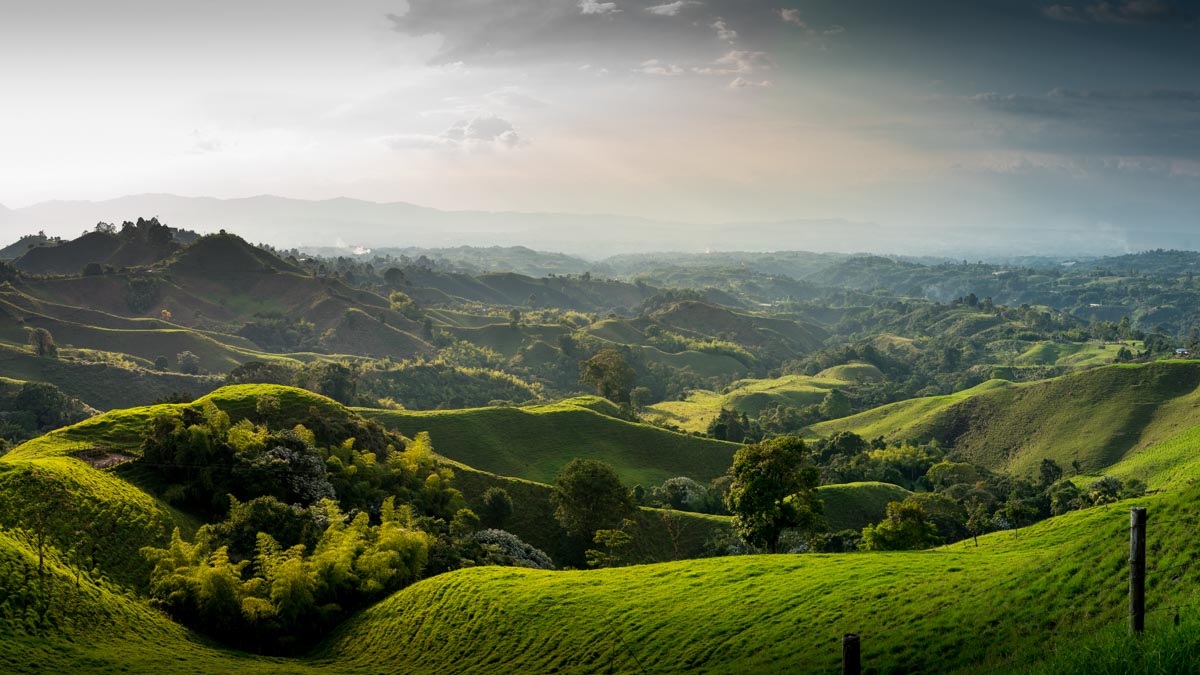 Steel Horse Filandia (82 of 86)