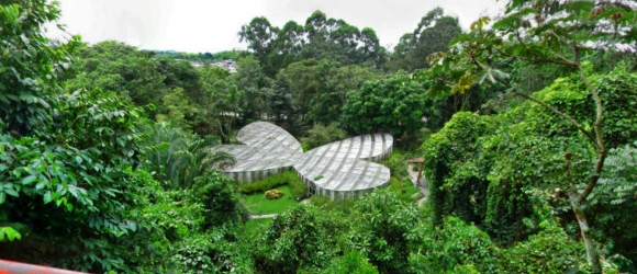 Jardin-Botanico-Del-Quindio