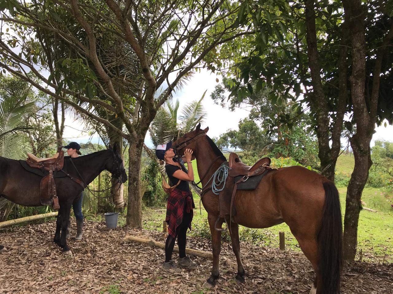 Woman meeting her steed for her horse ride with Steel Horse